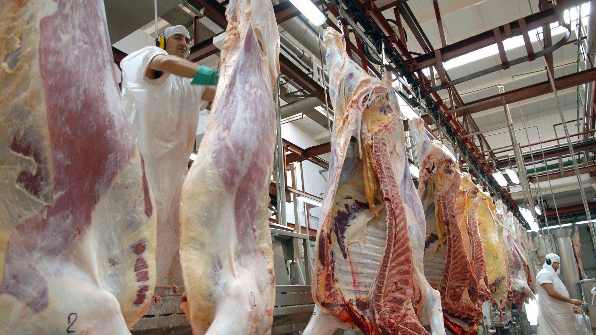 Alerta de LULAC a consumidores: Debemos supervisar a empacadores de carne para evitar que niños trabajen en sus empresas y otros abusos